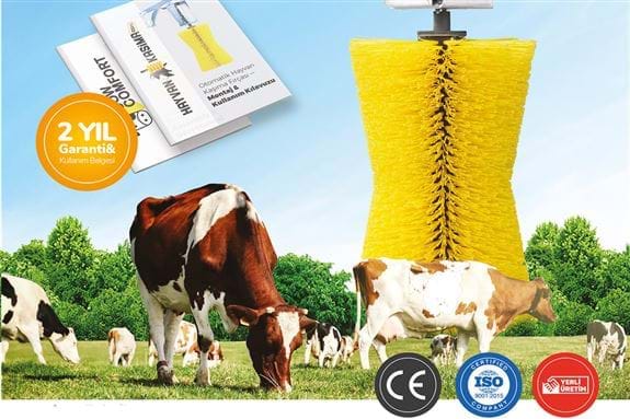 Automatic Scratching Brush